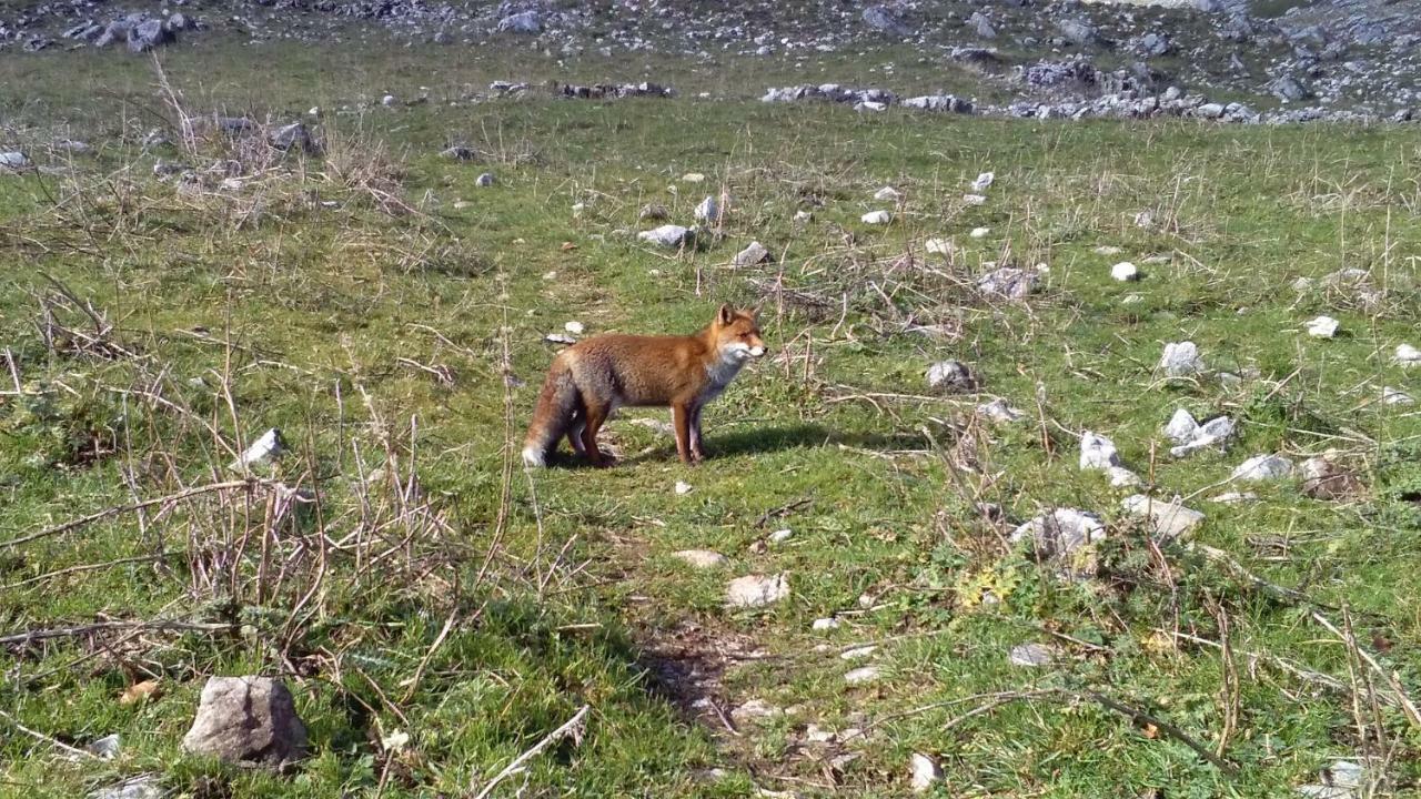 Natour l'Ostello per i camminatori Barisciano Esterno foto